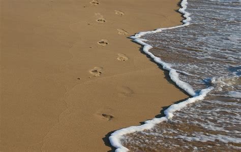 strand Search